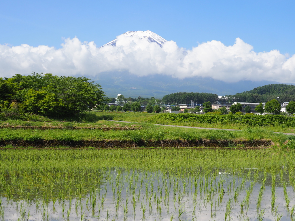 �_�������@�c�A���I��