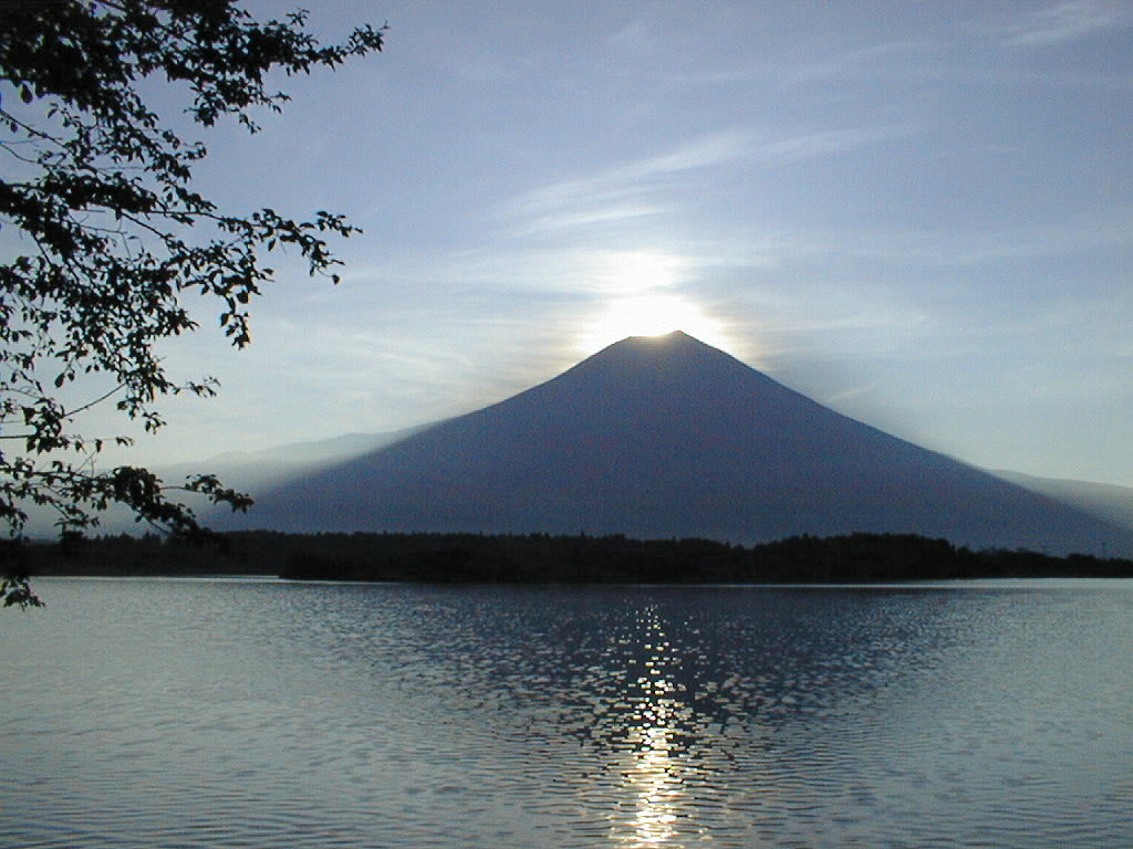 �P�X�X�V�N�W���P�X��