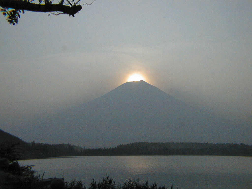 �P�X�X�W�N�W���Q�Q��