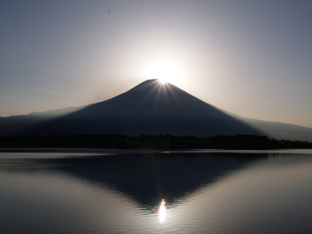 �Q�O�O�S�N�S���Q�P��