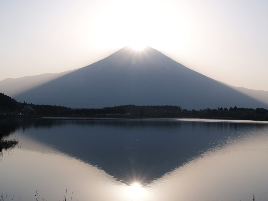 �Q�O�O�T�N�S���Q�Q��