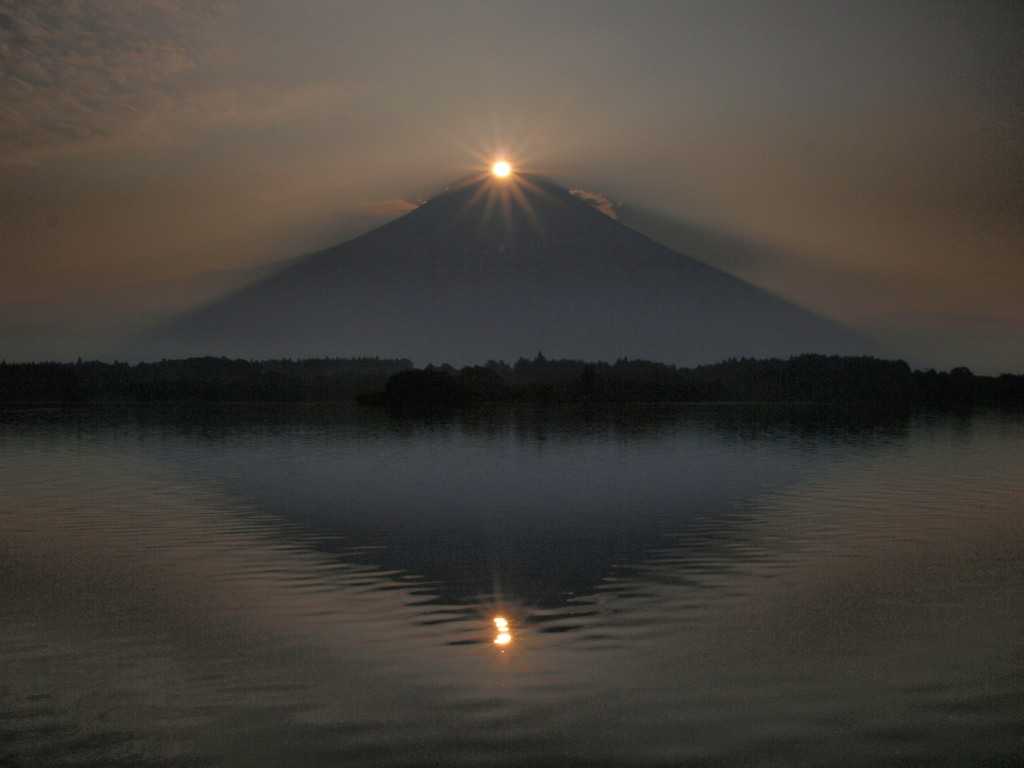 �Q�O�P�O�N�W���P�X��