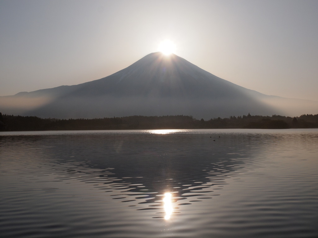 �Q�O�P�Q�N�S���Q�P��