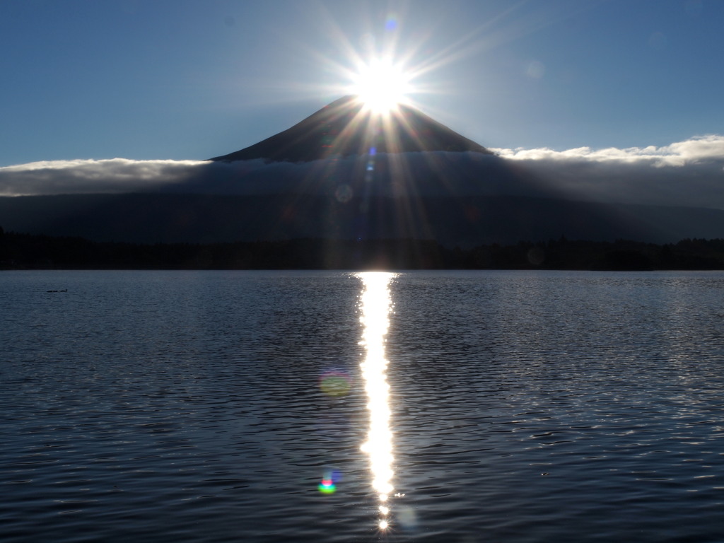 �Q�O�P�Q�N�W���Q�Q��