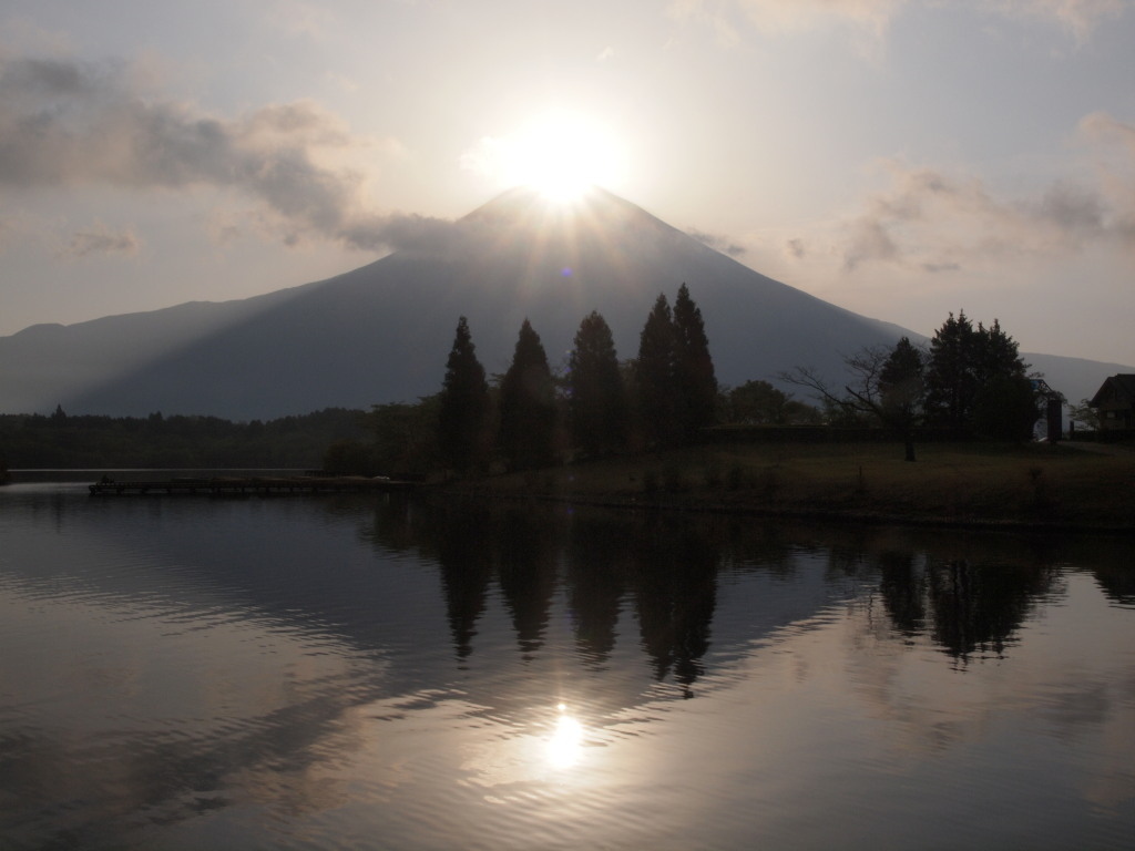 �Q�O�P�R�N�S���Q�U��