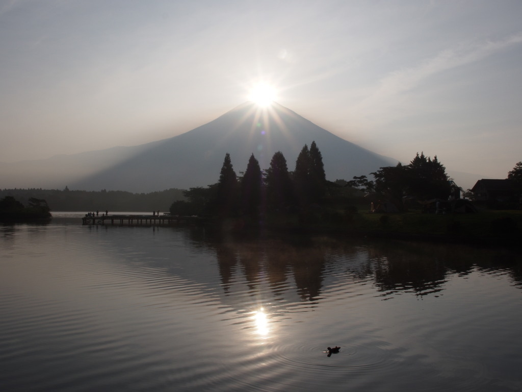 �Q�O�P�R�N�W���P�V��