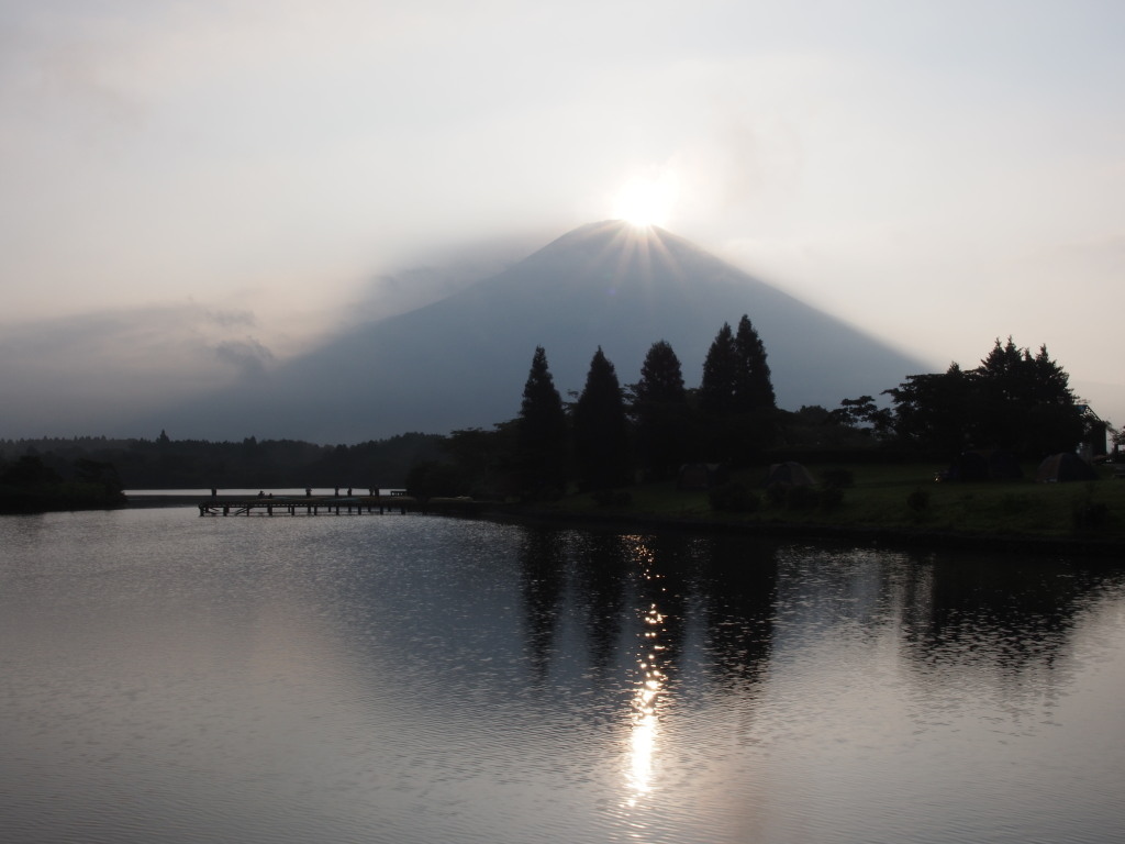 �Q�O�P�R�N�W���P�X��