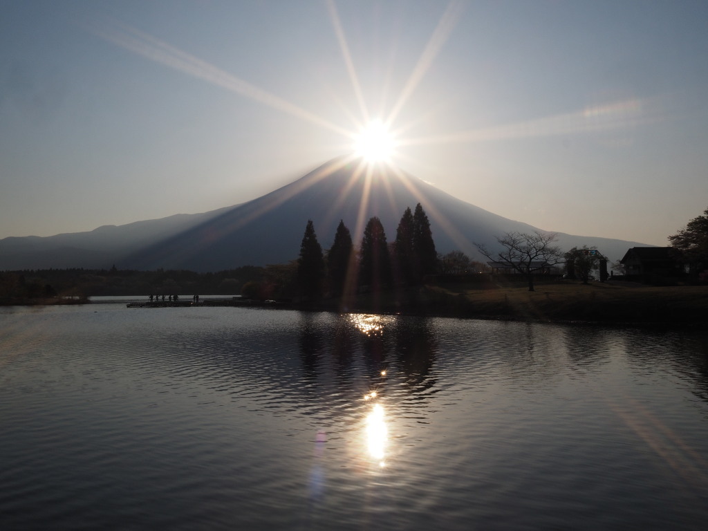 �Q�O�P�S�N�S���Q�S��