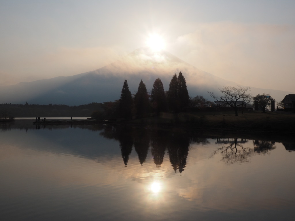 �Q�O�P�S�N�S���Q�T��