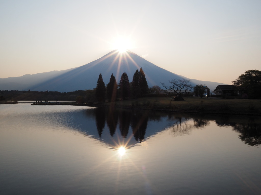 �Q�O�P�S�N�S���Q�U��