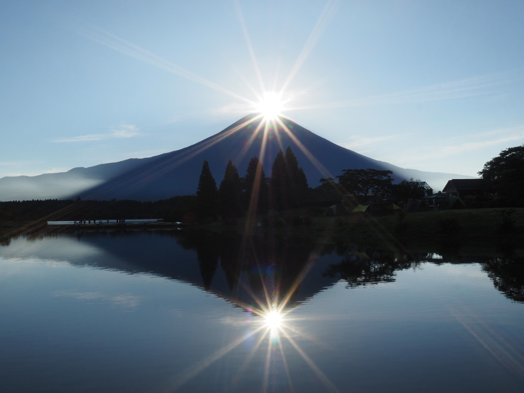 �Q�O�P�S�N�W���P�X��