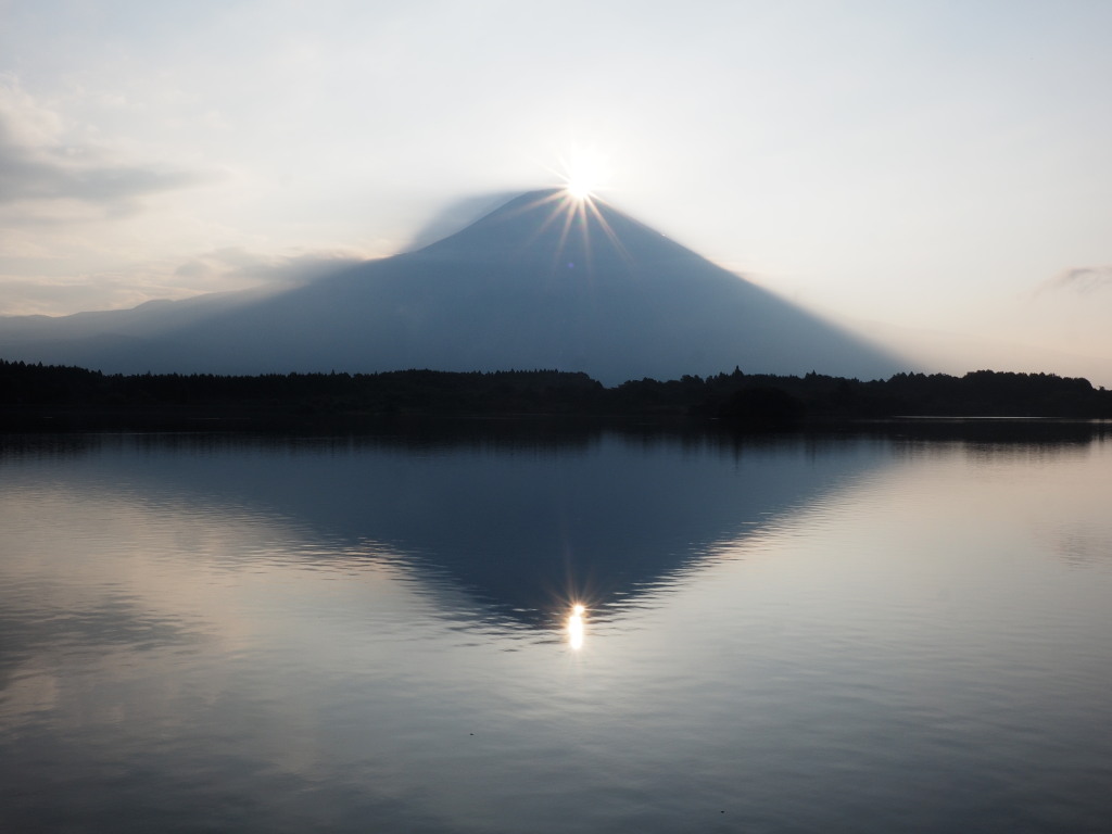 �Q�O�P�T�N�W���Q�R��