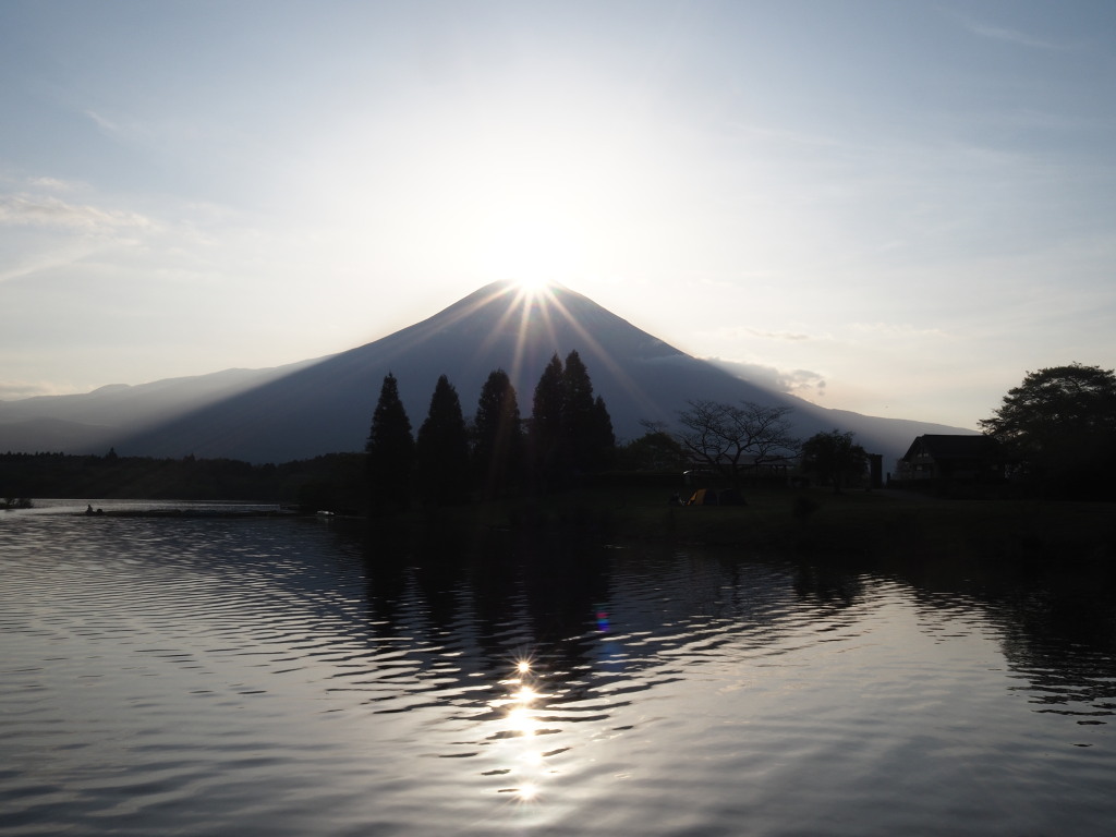 �Q�O�P�U�N�S���Q�T��