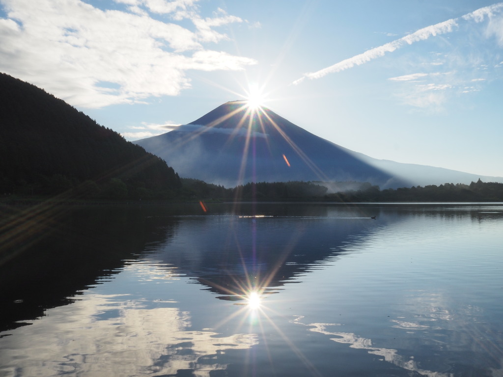 �Q�O�P�U�N�W���Q�T��