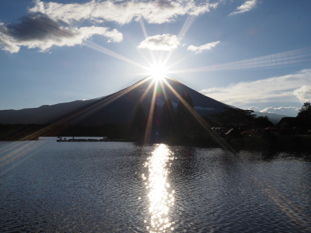 �Q�O�P�W�N�W���P�V��