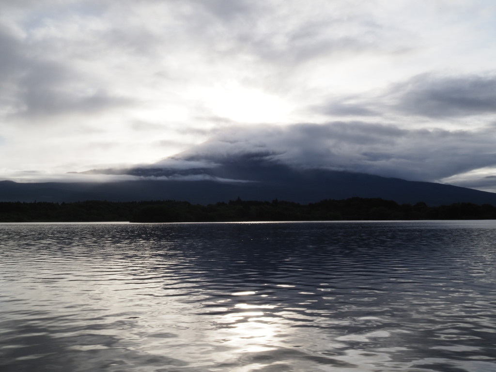 �Q�O�P�W�N�W���Q�O��