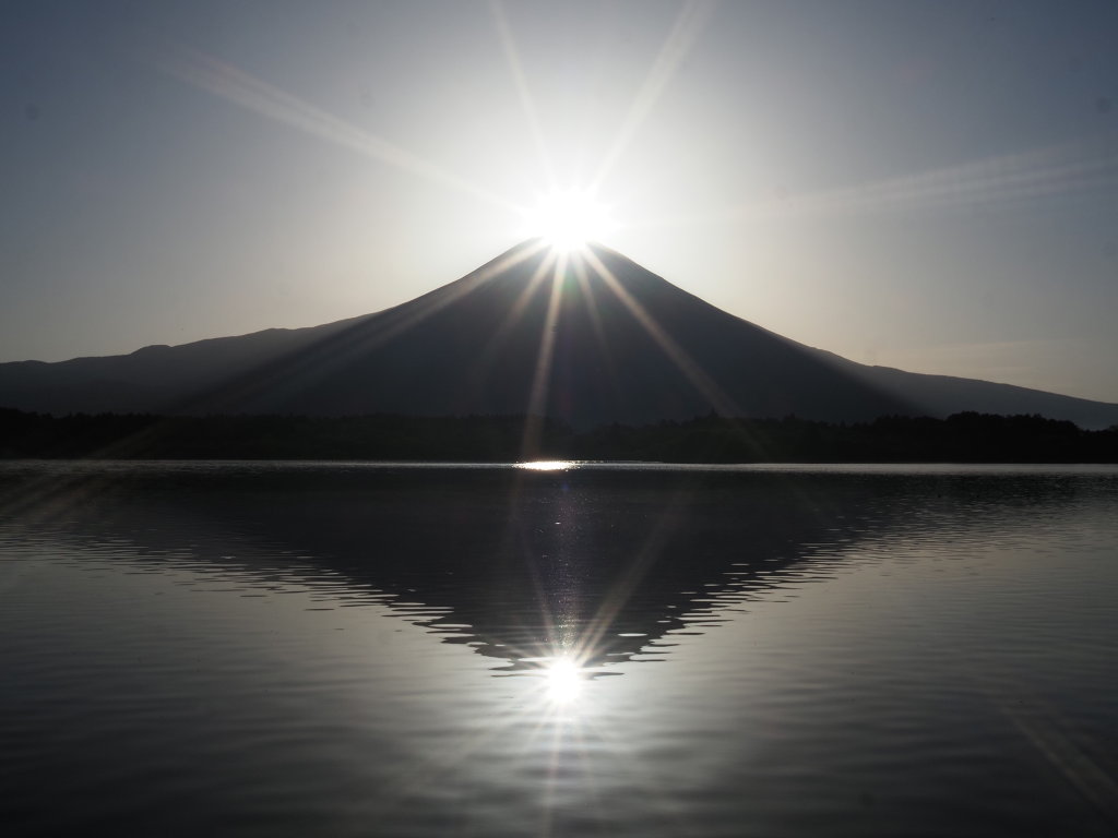 �Q�O�Q�Q�N�S���Q�R��