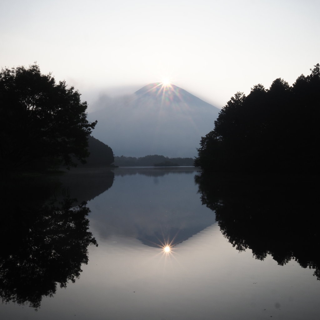 �Q�O�Q�T�N�W���Q�O��