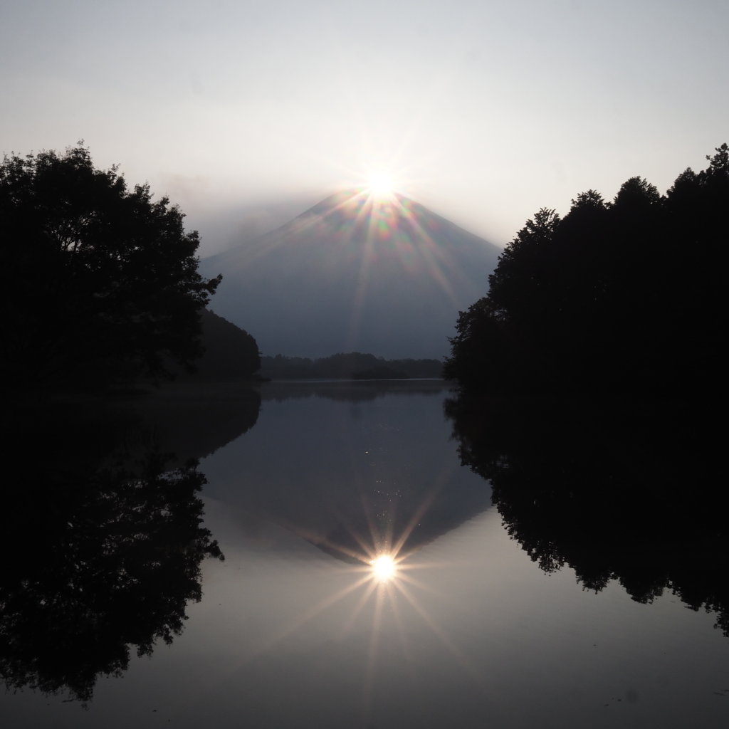 �Q�O�Q�T�N�W���Q�O��