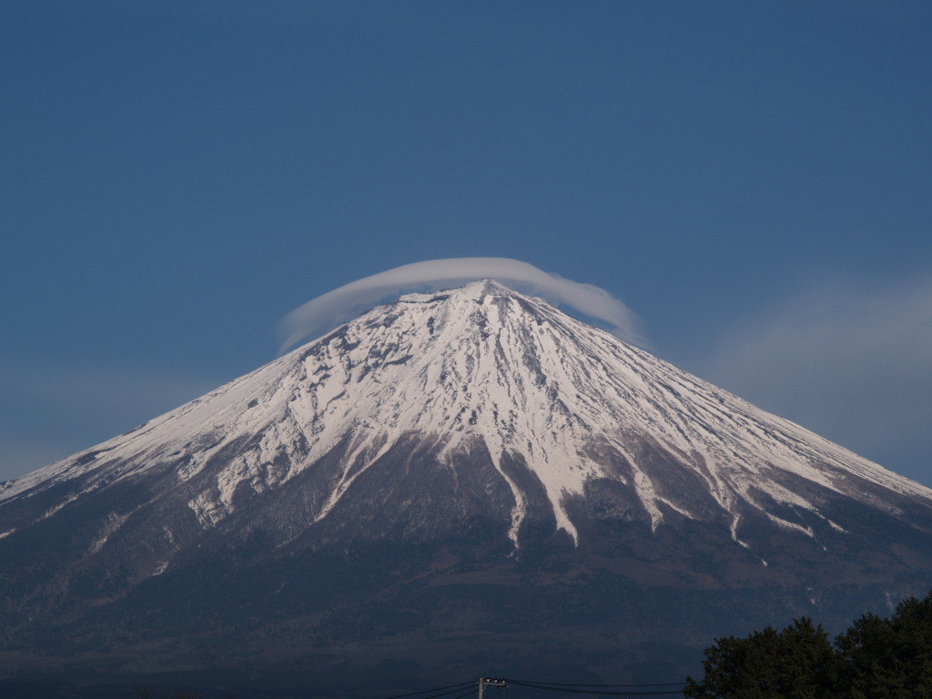 �����̑�@�}�������x�m�R