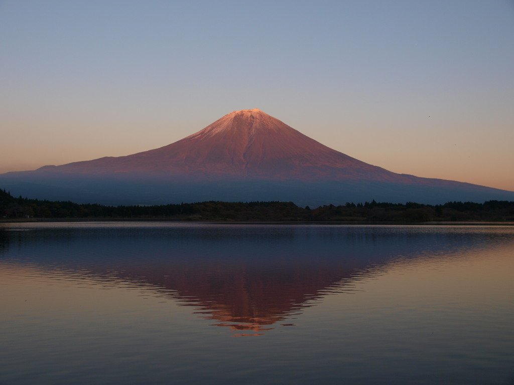 �c�ь΁@�[�Ă��̋t���x�m