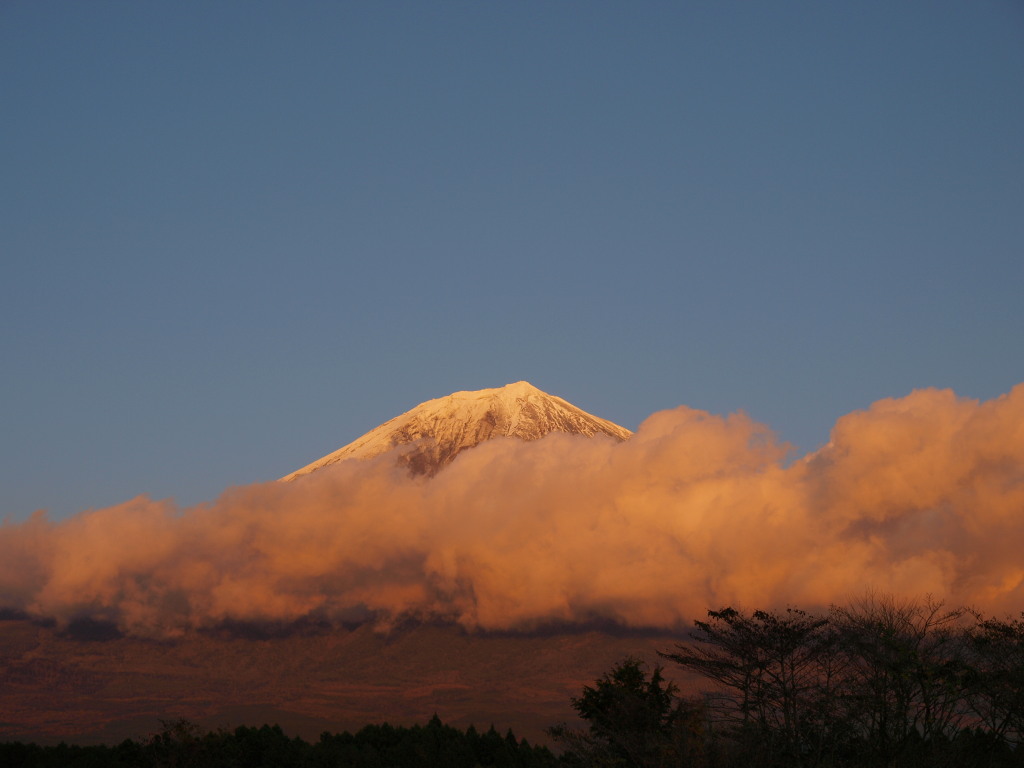 �c�ь΁@�[�Ă��̕x�m�R