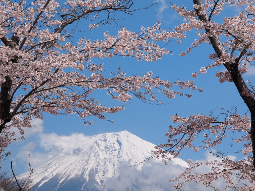 �c�ь΁@���ƕx�m�R