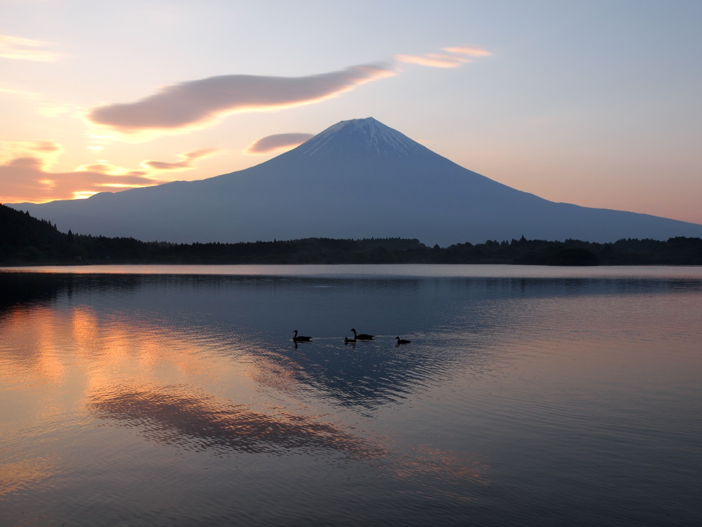 �c�ь΁@���Ă��̋t���x�m