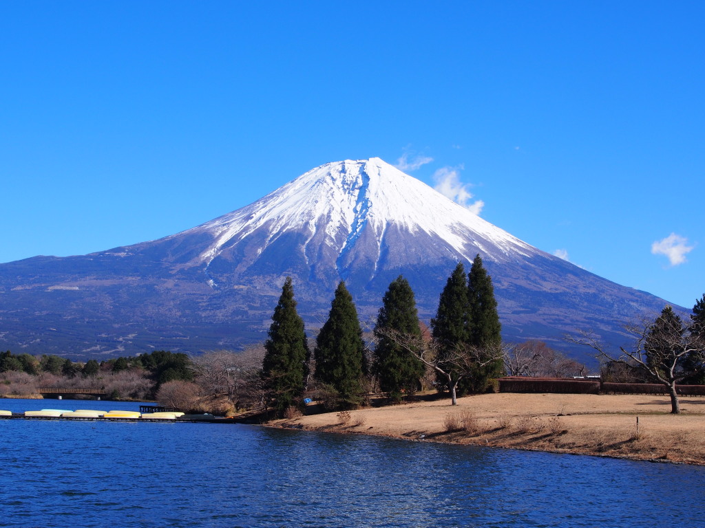 �c�ь� ��T�C�g����̕x�m�R