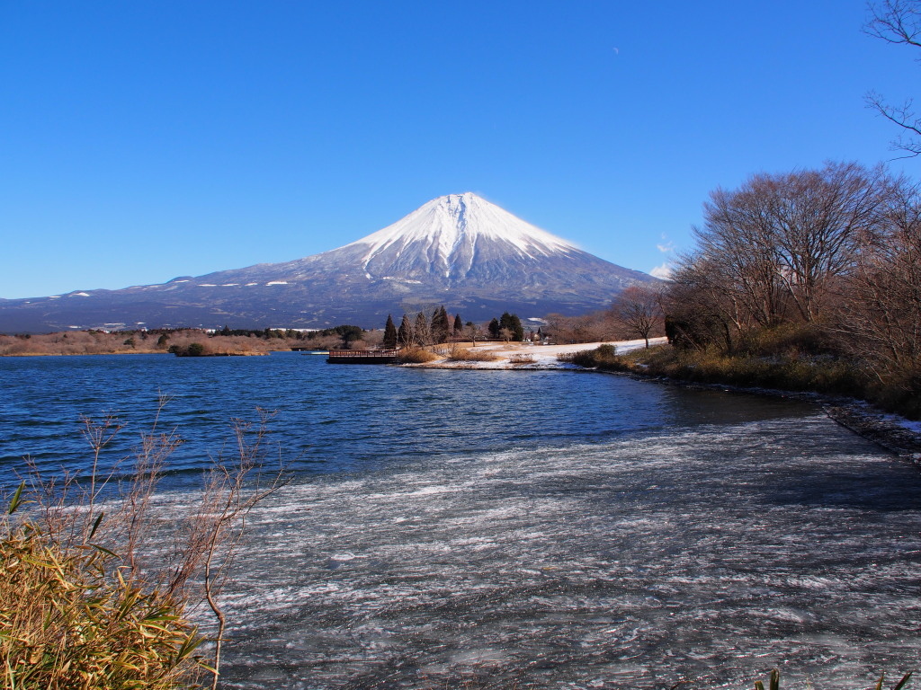 ���Ă��c�ь� �̕x�m�R