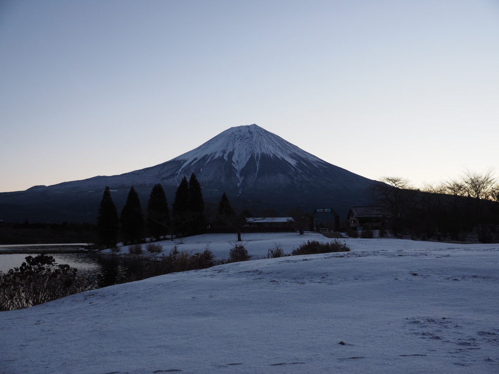 ��ʐ�̓c�ь΂ƕx�m�R