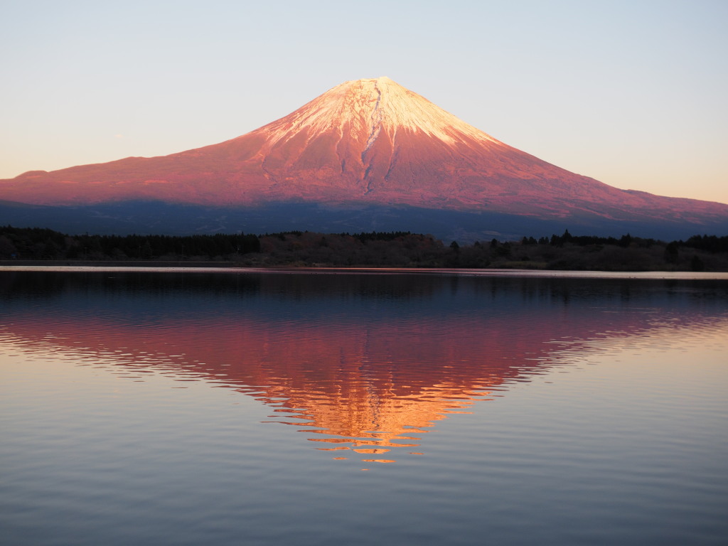 �[�Ă��̕x�m�R