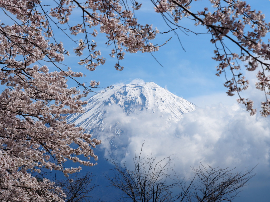 ���ƕx�m�R