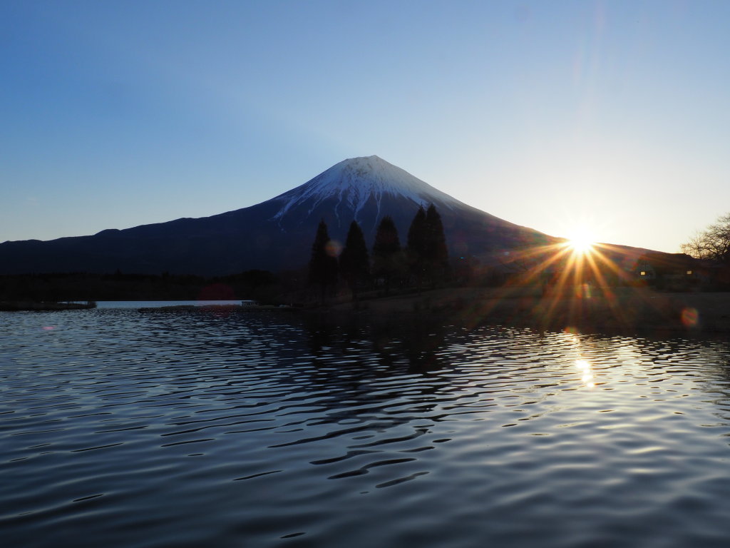 ���̏o�̕x�m�R