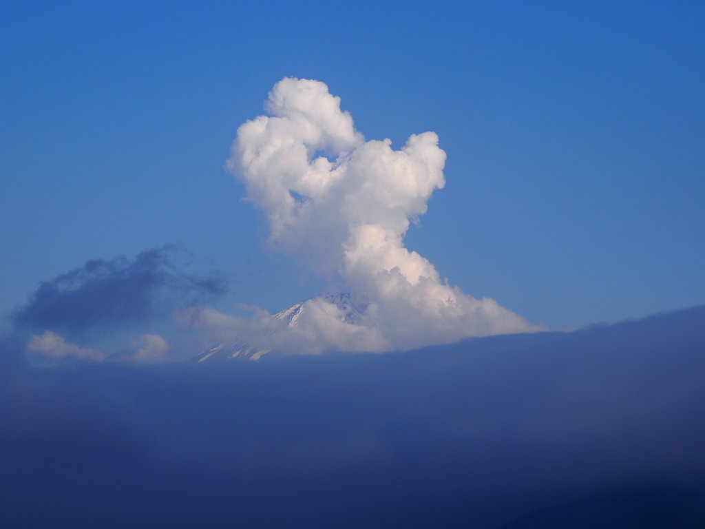 �x�m�R����?