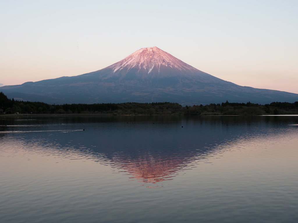 �[�Ă��̕x�m�R