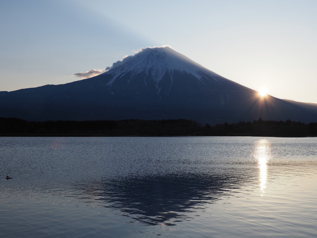 ���������I�[�g�L�����v�� ���̏o