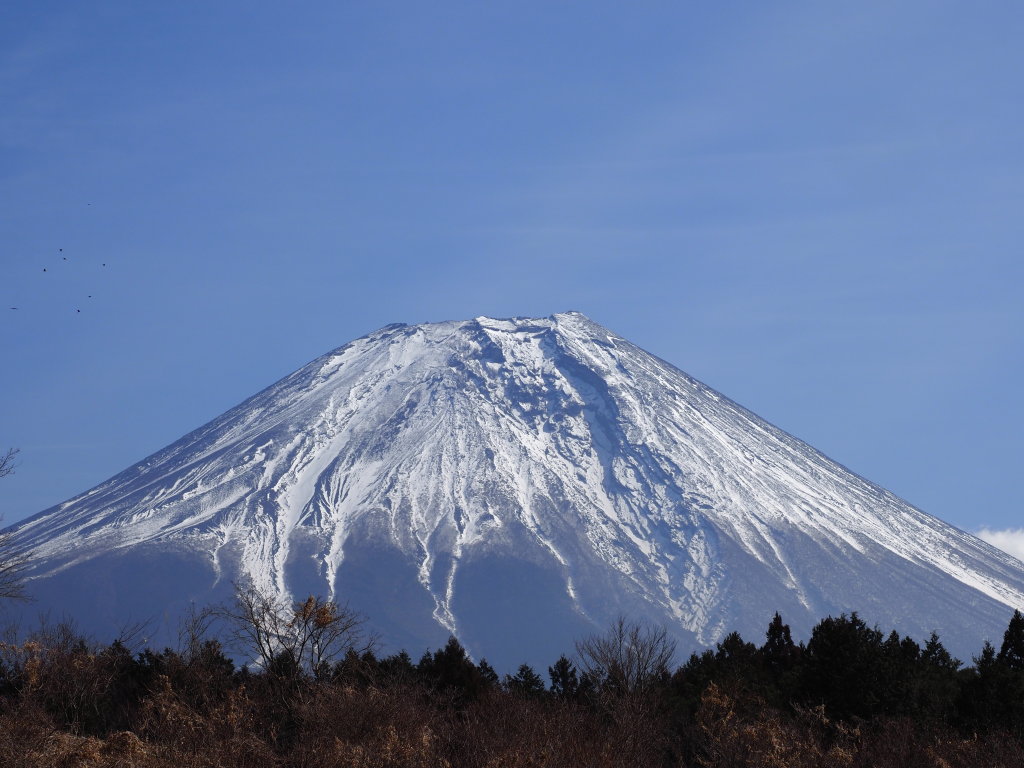 �����A���[�i����