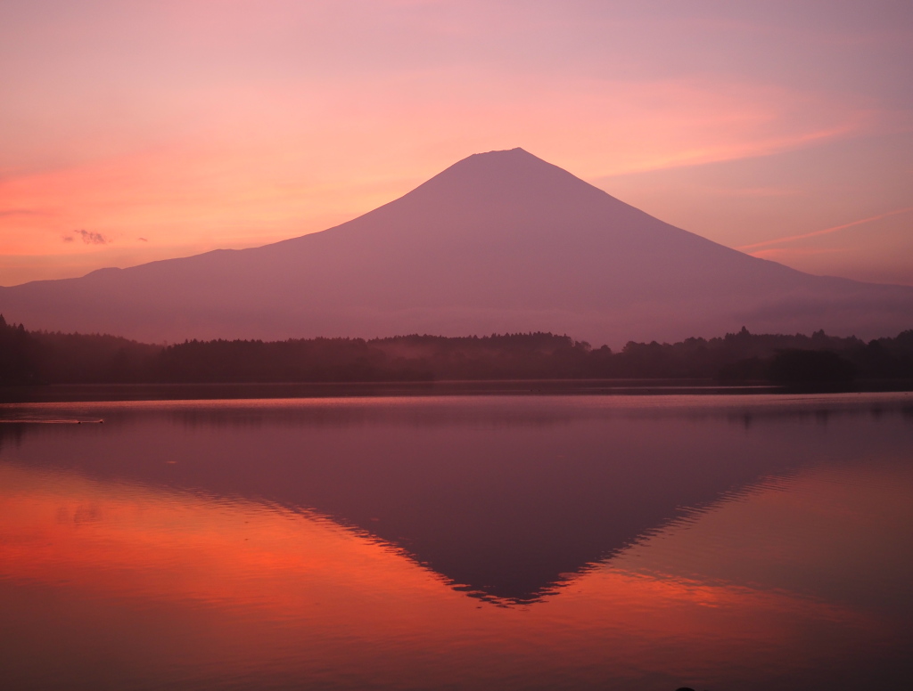 �k�T�C�g�@���Ă�