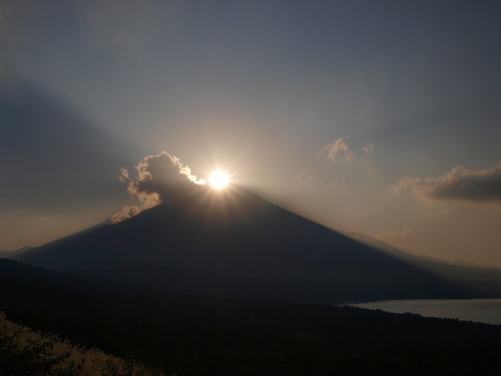 �Q�O�O�X�N�P�O���P�W���@�p�m���}��