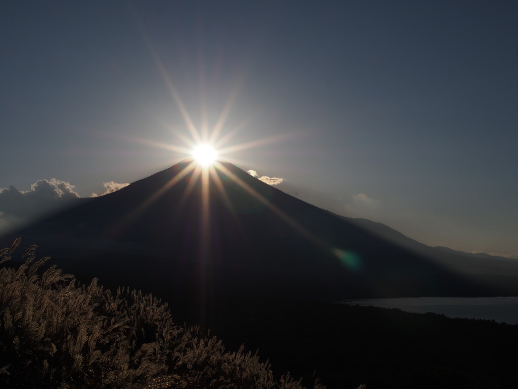 �Q�O�P�T�N�P�O���P�W���@�p�m���}��