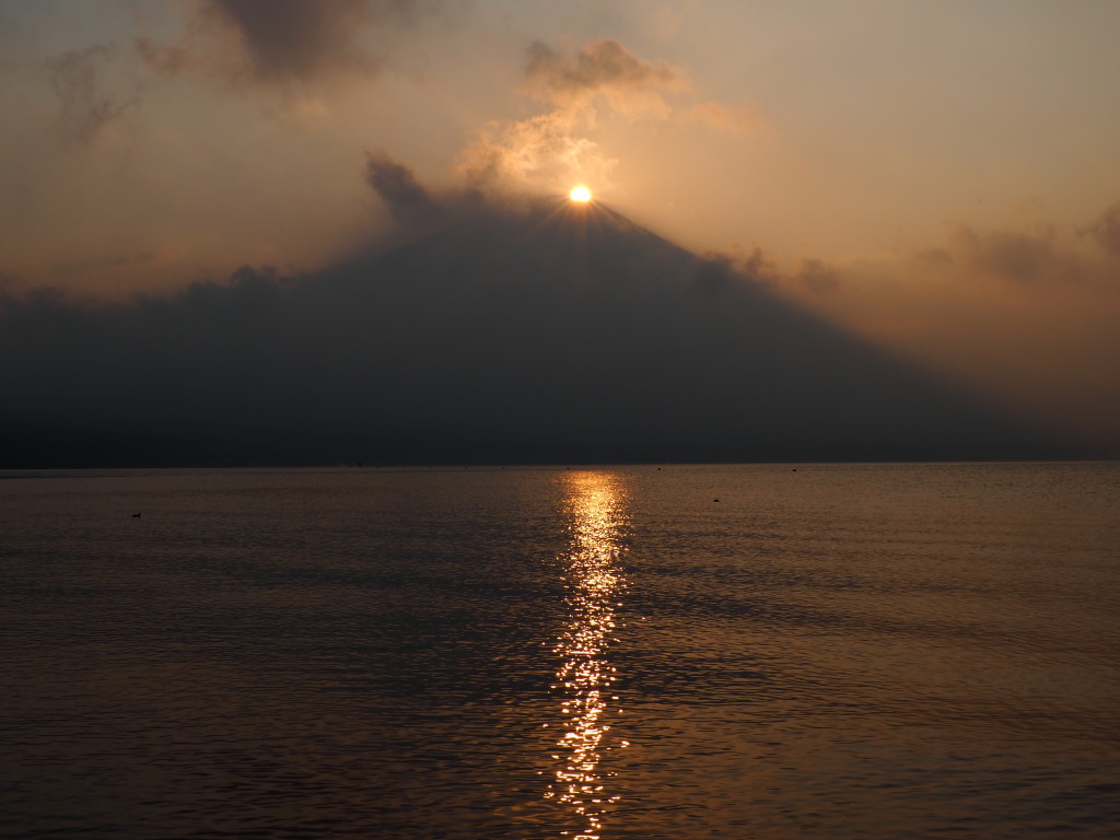 �Q�O�P�T�N�P�O���Q�Q���@�L����