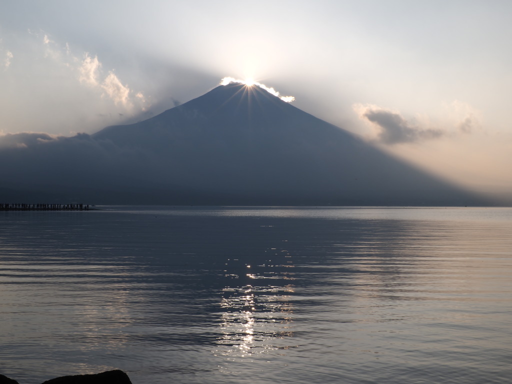 �Q�O�P�T�N�P�O���Q�S���@�L����