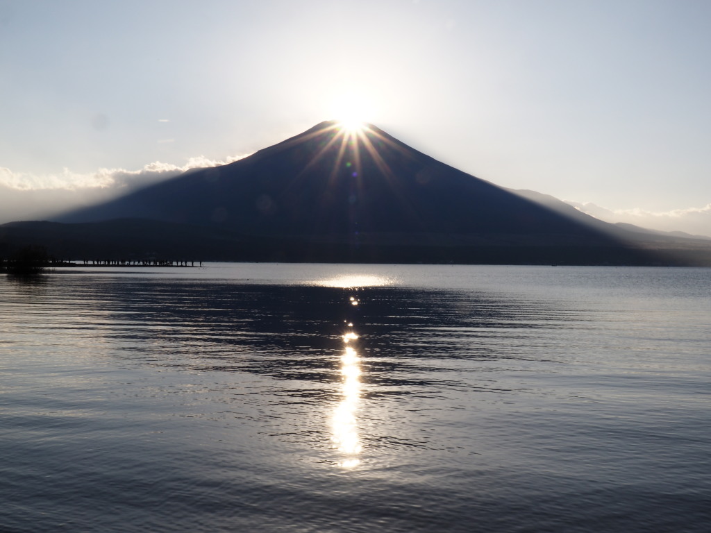 �Q�O�P�T�N�P�O���Q�T���@�L����