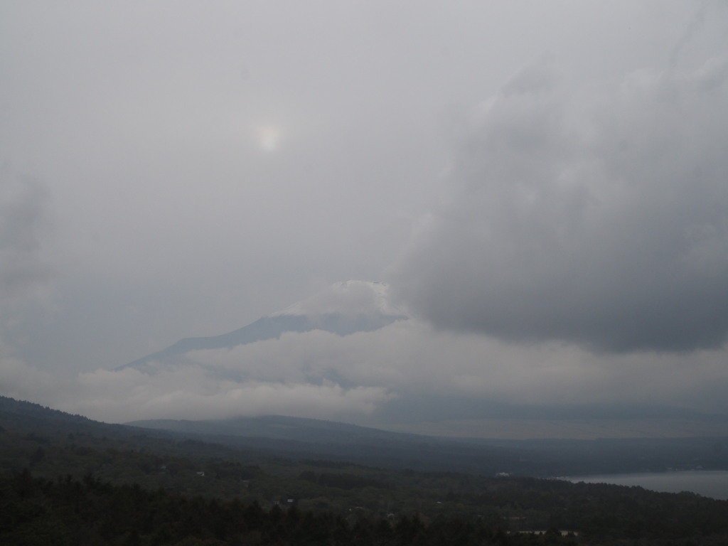 �Q�O�P�W�N�P�O���P�U���@�p�m���}��