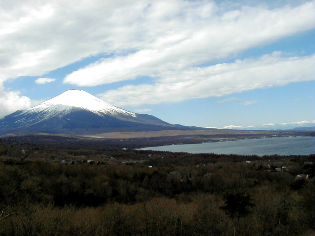 �p�m���}��@�_�ƕx�m�R