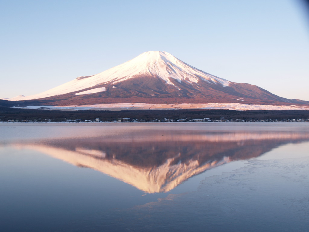 ���r�@���ꂢ�ȋt���x�m