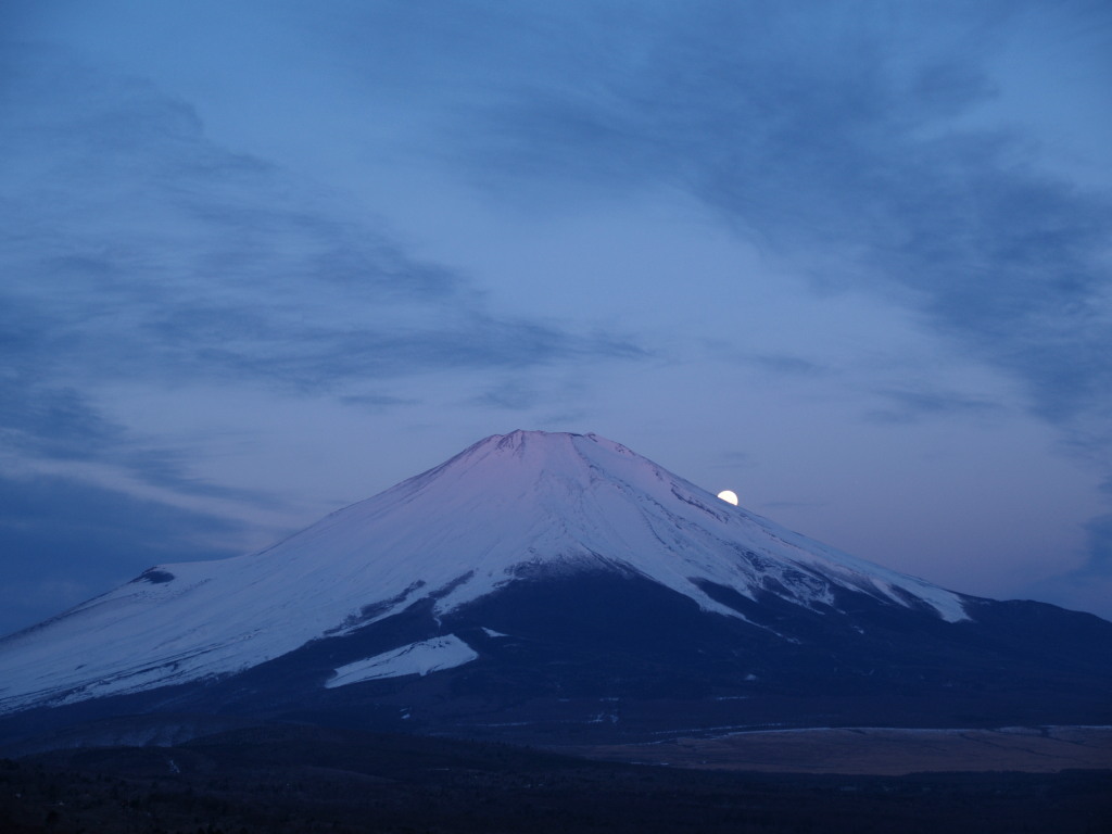 �p�m���}��@�\����̌��Ƃق�̂�g�x�m