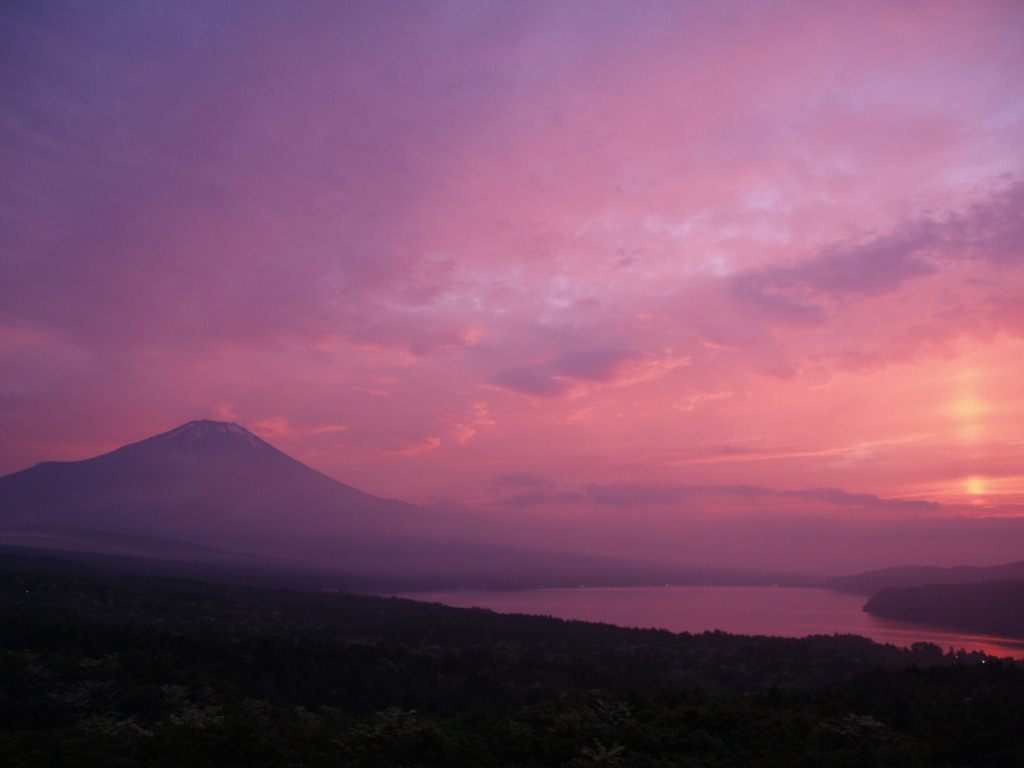 �p�m���}��@�[�Ă����Ă��̕x�m�R