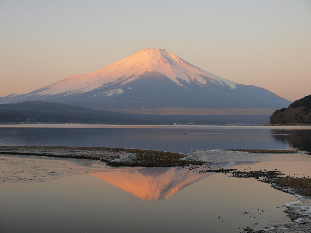 ����@�t���g�x�m